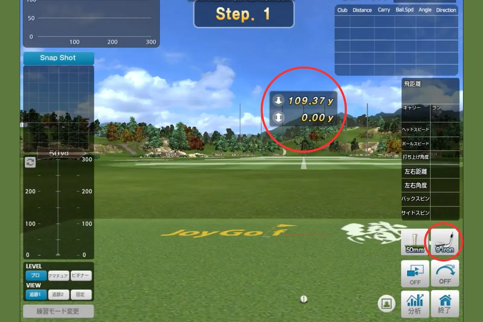 伊織道場（アイアン）